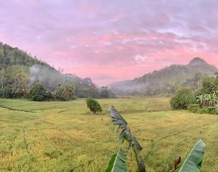 Sunil'S Homestay Sinharaja Kalawana ภายนอก รูปภาพ