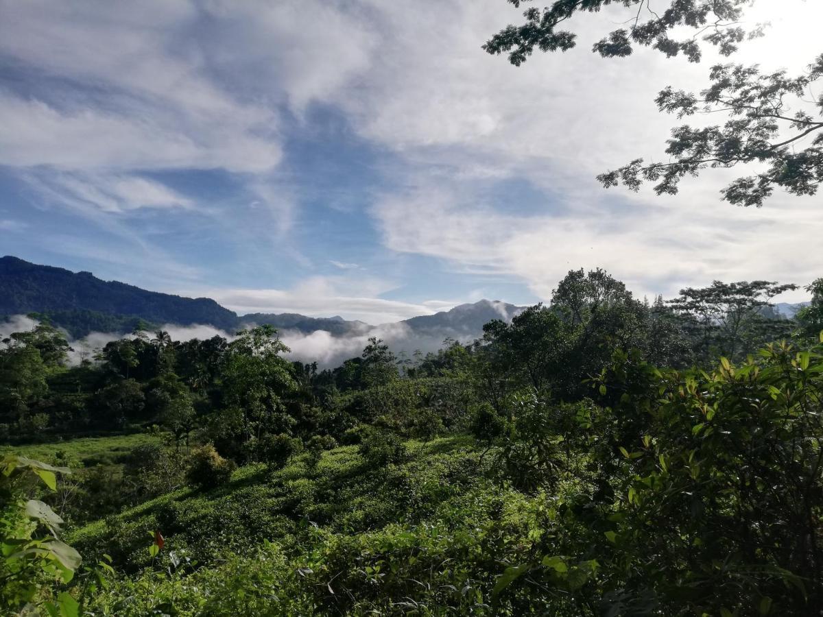 Sunil'S Homestay Sinharaja Kalawana ภายนอก รูปภาพ