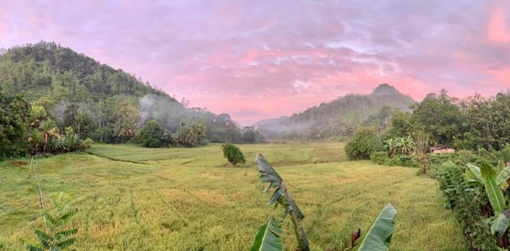 Sunil'S Homestay Sinharaja Kalawana ภายนอก รูปภาพ